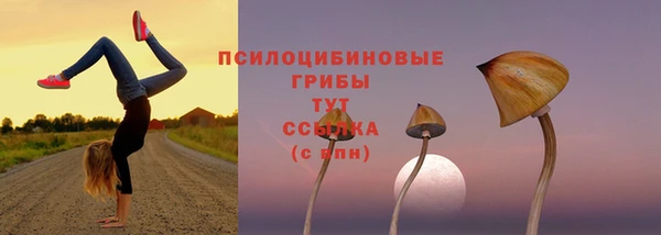 jwh Алексин