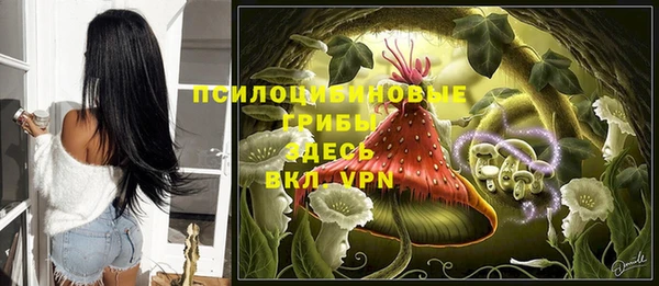 прущие крисы Алзамай
