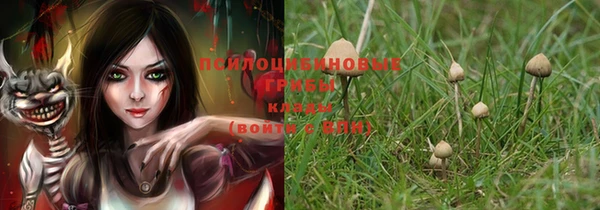 прущие крисы Алзамай