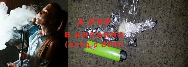 прущие крисы Алзамай
